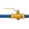 Apollo 3/4 in. Brass Push Ball Valve with Flange and Drain FSBBV34DE - alternate 6